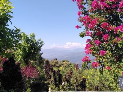 J09-17 Paradis népalais