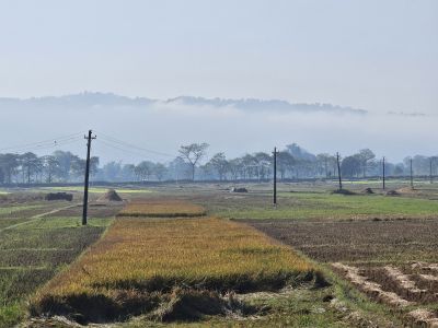 J12-02 Plaine du Teraï