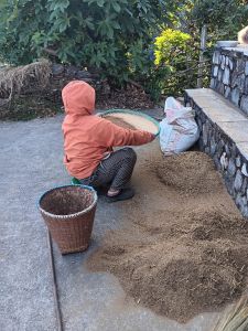 J09-13 Tamisage de la récolte de millet