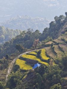 J18-15 Vue sur des terrrains cultivés
