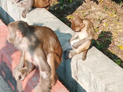 J15-03 Toutes les générations sont là