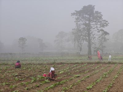 J12-03 Autre vue de la plaine du Teraï