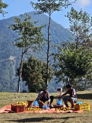J19-05 Plusieurs marchands sont venus installer un stand