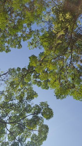 J13-02 Sur le chemin vers la ferme refuge à éléphants