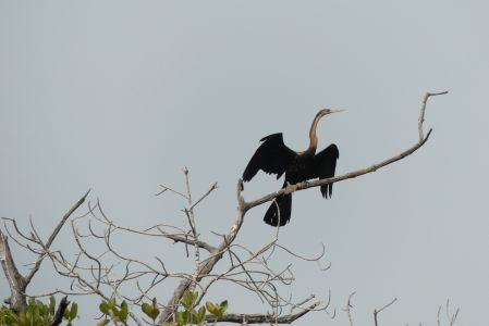 P1020852