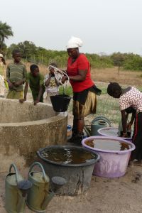Jardin des femmes puit