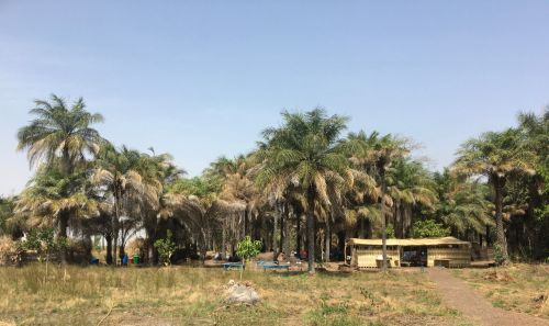 Le campement