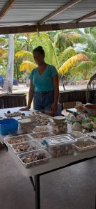 J11-05-Presentation des coquillages