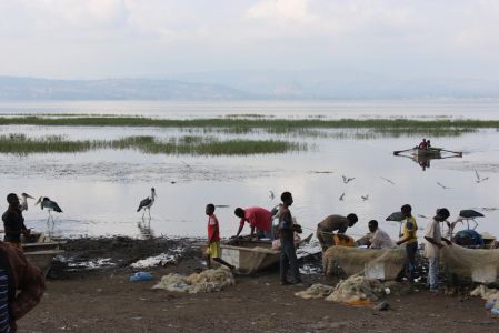 Le marché aux poissons