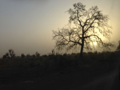 Soleil couchant