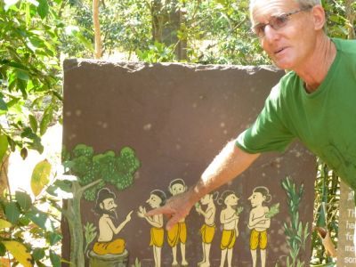 Fôret dAuroville : toutes les plantes sont médicinales