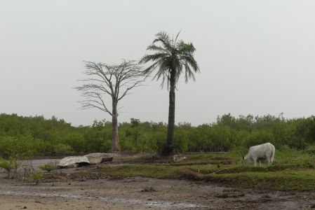 Sortie de pirogue