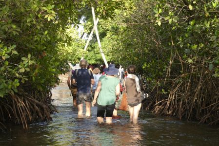 Arrivée à pieds sur l'île de Hitou