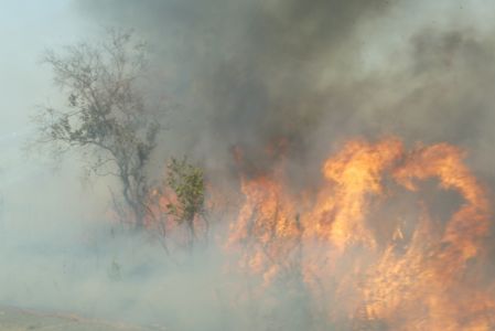 Feu 2