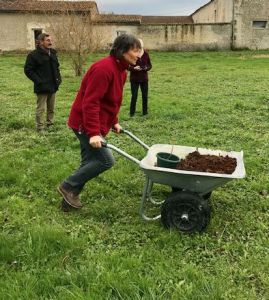 6.PLANTER_DES_ARBRES_2