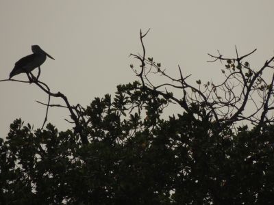 DSCN7174