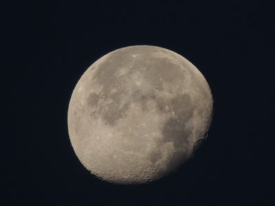 Lune du matin