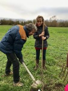 5.PLANTER_DES_ARBRES