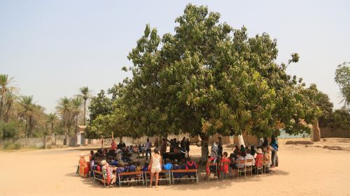 ecole rassemblement arbre point de vue.JPG