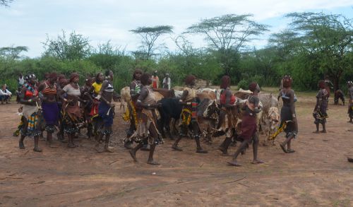 La danse des femmes autour des vaches