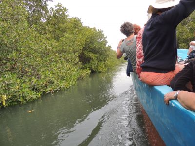 En pirogue