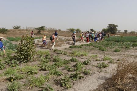 Village pilote jardin