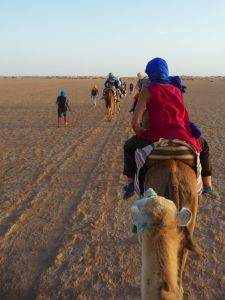En route vers le campement