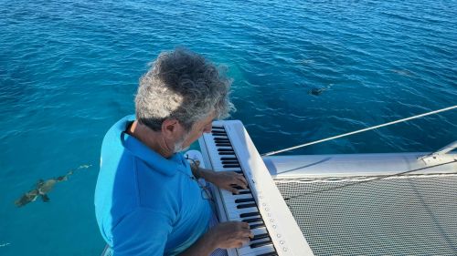 J07-10-pianorequin
