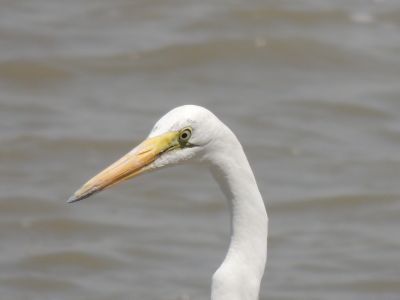 DSCN6790