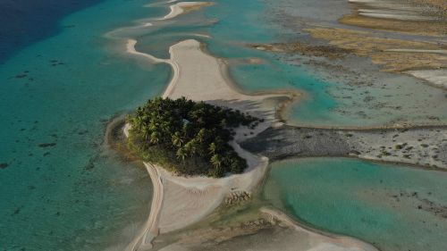 J02-12-Ile