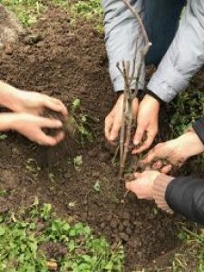 7.PLANTER_DES_ARBRES_3