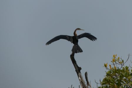P1020851