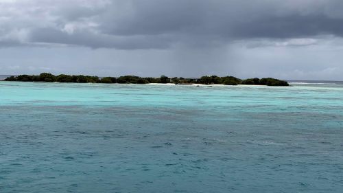 J19-02-MOOREA