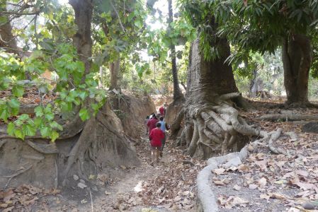 Chemin vers les totems