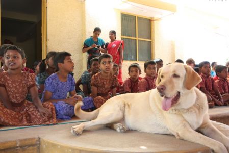 Orphelinat Karunya Family - Scooby, le chien d'accueil de l'orphelinat