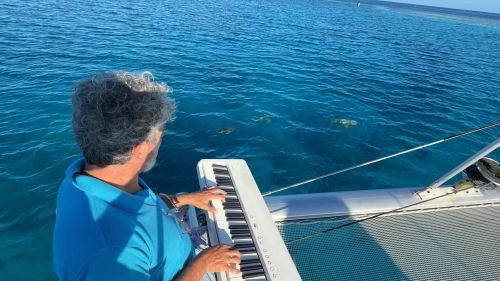 J07-11-piano requin