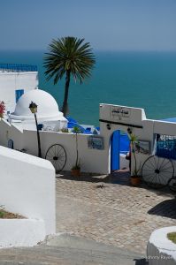 Le café des délices à Sidi Bou Saïd